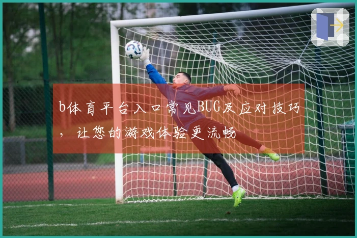 b体育平台入口常见BUG及应对技巧，让您的游戏体验更流畅