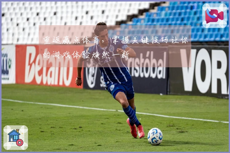 重返赢点体育，掌握关键技巧让你的游戏体验焕然一新