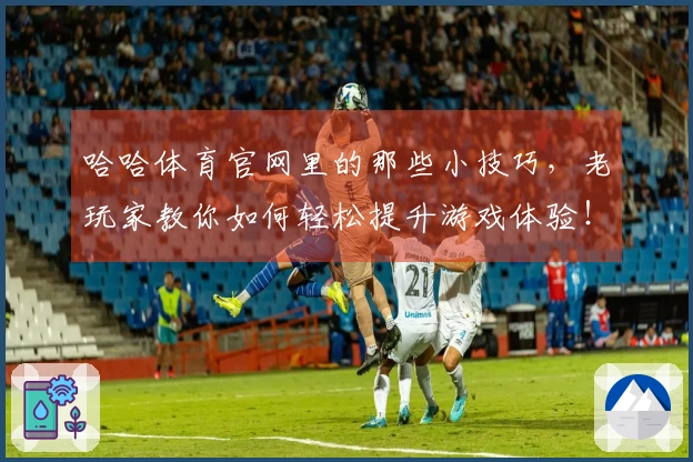 哈哈体育官网里的那些小技巧，老玩家教你如何轻松提升游戏体验！