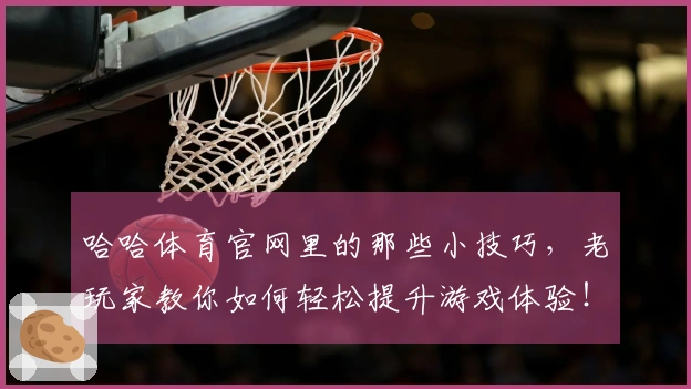 哈哈体育官网里的那些小技巧，老玩家教你如何轻松提升游戏体验！